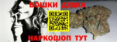 мдпв Нальчик