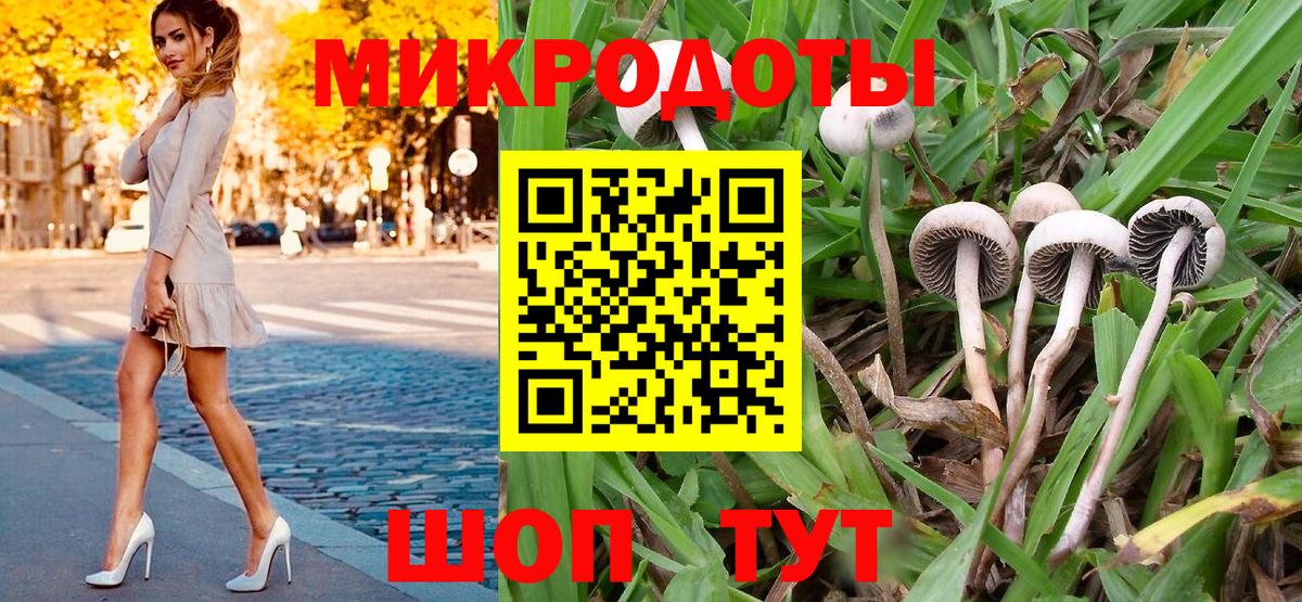 Псилоцибиновые грибы Psilocybe Соликамск