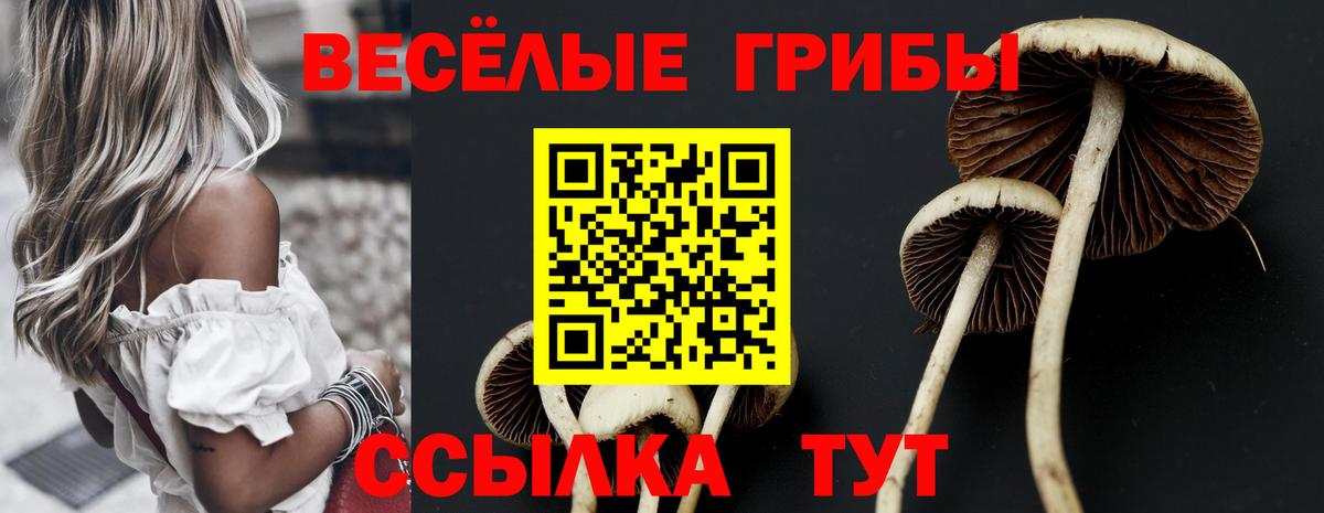 Галлюциногенные грибы MAGIC MUSHROOMS  Вход с VPN  где можно купить   Соликамск  Псилоцибиновые грибы Psilocybine cubensis 